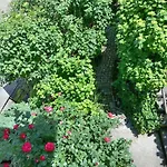 Carlotta House-lt * Bellano