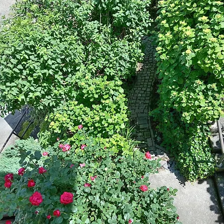 Carlotta House-lt Bellano