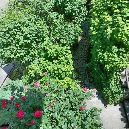 Carlotta House-lt * Bellano