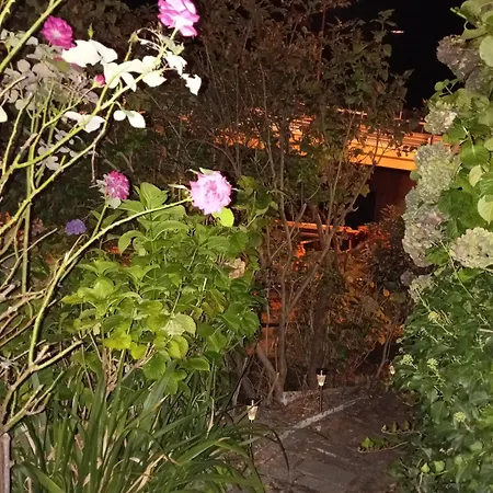 شقة Carlotta House-lt *