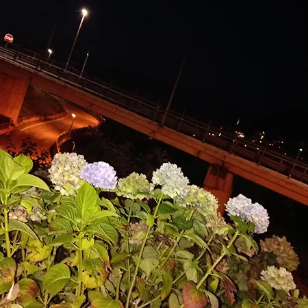 شقة Carlotta House-lt