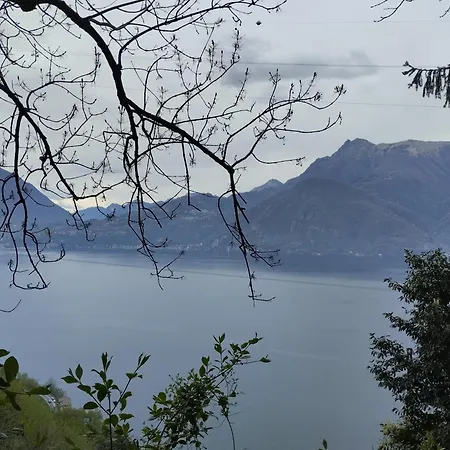 Carlotta House-lt * Bellano